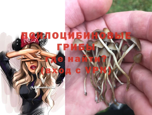 MDMA Premium VHQ Богородицк