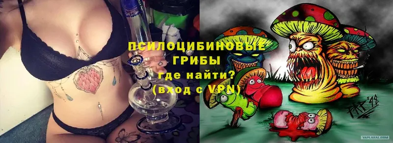 Псилоцибиновые грибы MAGIC MUSHROOMS  закладки  Муром 